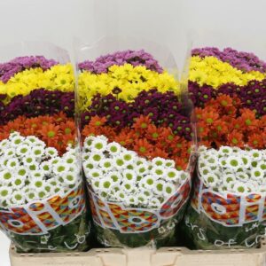 Хриз. Sant Madiba Mix