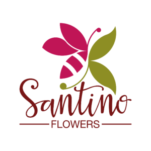 ASSORTED 50 SANTINO FLOWERS