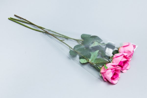 product image beca83eededfb8afc79876f36b2a48f1
