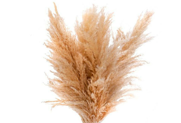 product image bf9060dd6ddc4bd880345db6f097e691