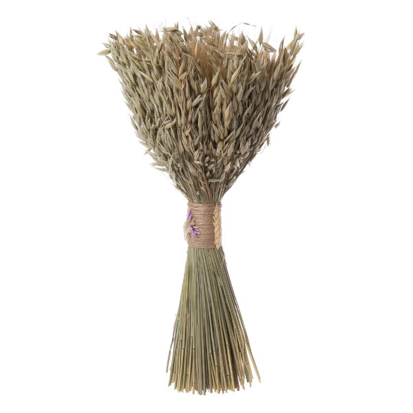 product image ffe3cb866a06205d213b9b0634f8f662