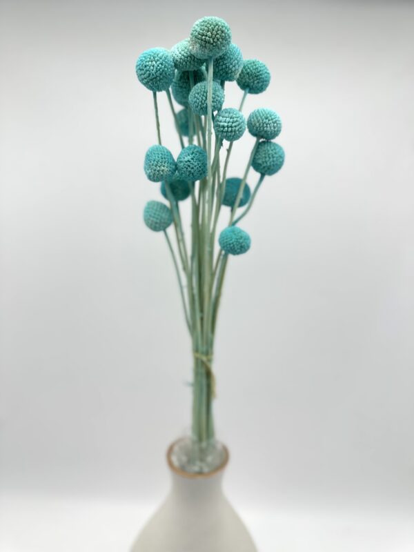 product image 68db8db9c8b033c1cdfde5adf5d251a8 scaled