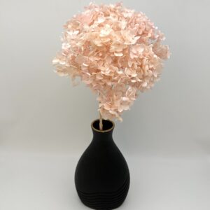 Сухоцвет Гортензия, цв.нежно-розовый