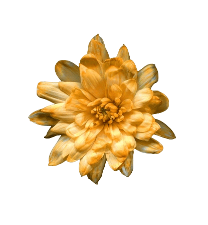 c1aeb2c2 51a8 11ec be84 18d6c703bfc2 2d798340 528c 11ec be84 18d6c703bfc2 photoroom.png photoroom