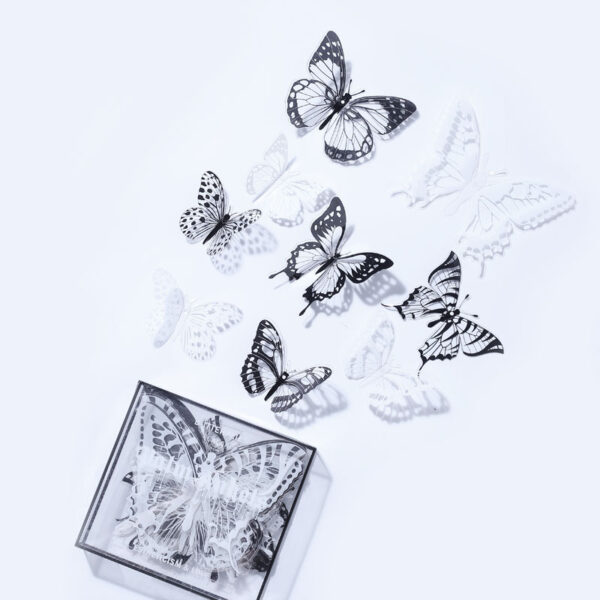 product image 4f5dc6aab382cbe1bdd05ea4509a21f7