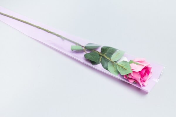 product image 2c081d1193874f289efc63197a787ed6
