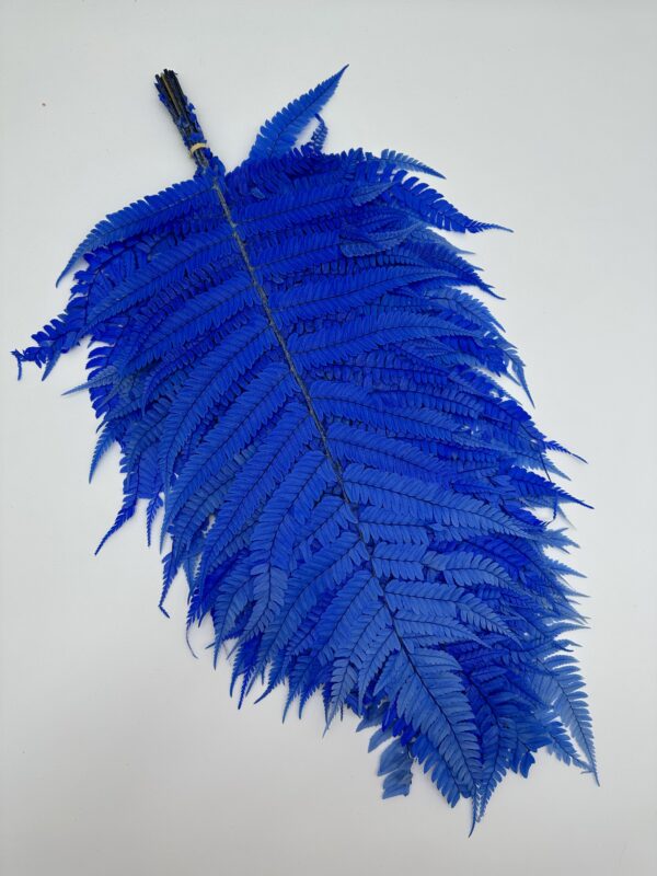 product image 910cd7b7383e24bf5df862c0f66f8dfb scaled