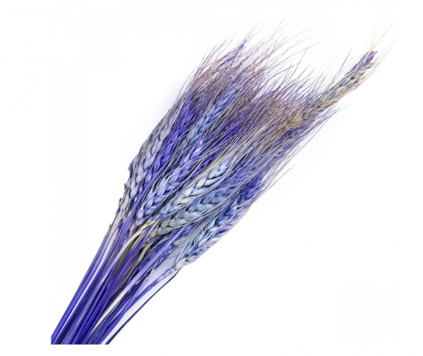 product image ff67d9a8065cbd57167d4bd14b6e00fd