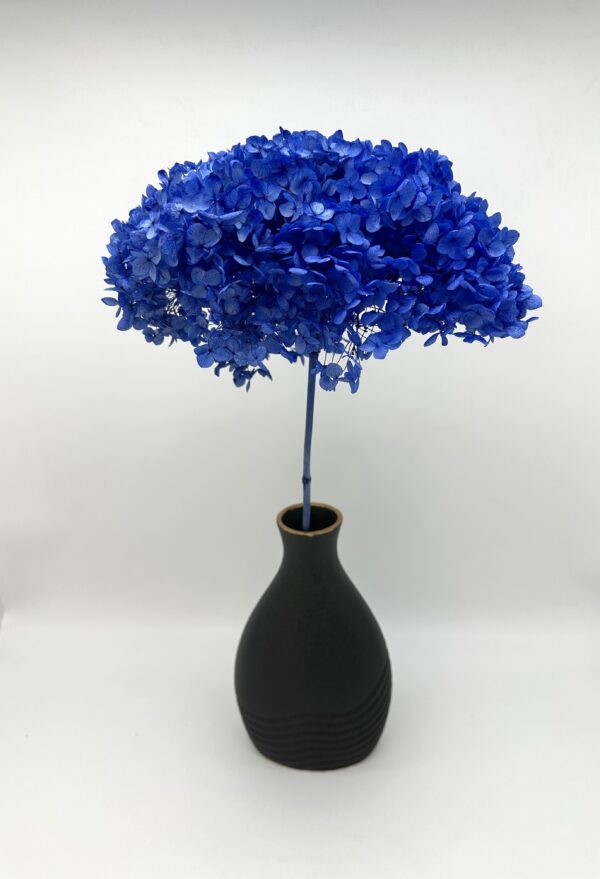 product image a235b1f9faf884e876be8481adbac2db scaled