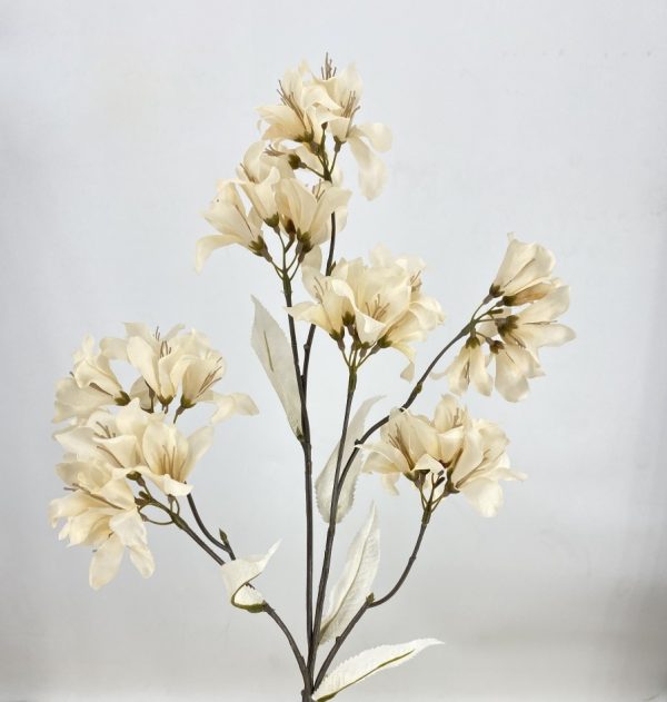 product image 0406c682e2a428127b6d4ada50b17cae