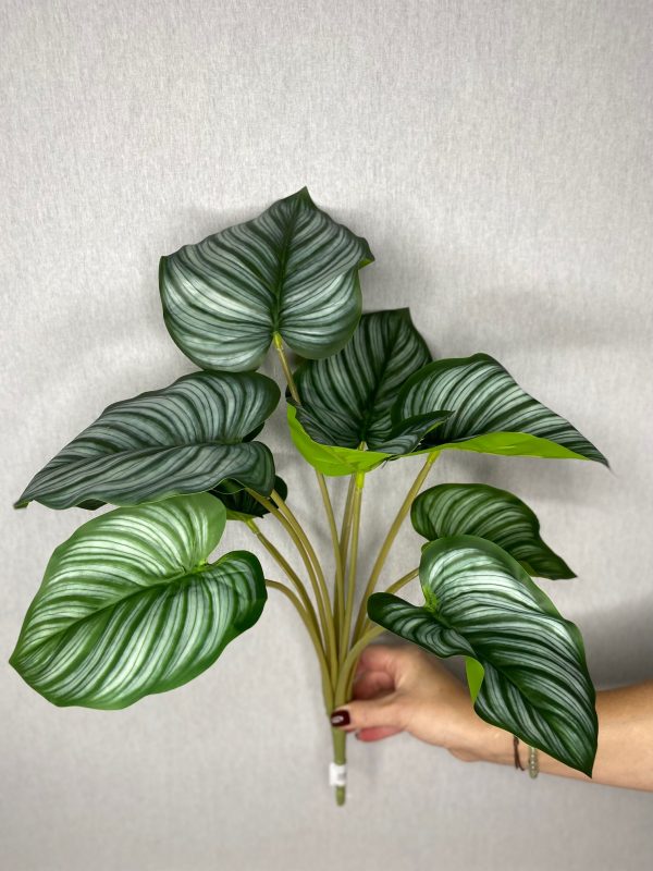 product image 0bd21975f551c1e1923c33bf583963dd