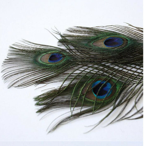 product image 7c2c58d488c86ce22eb0103f0c66aa68