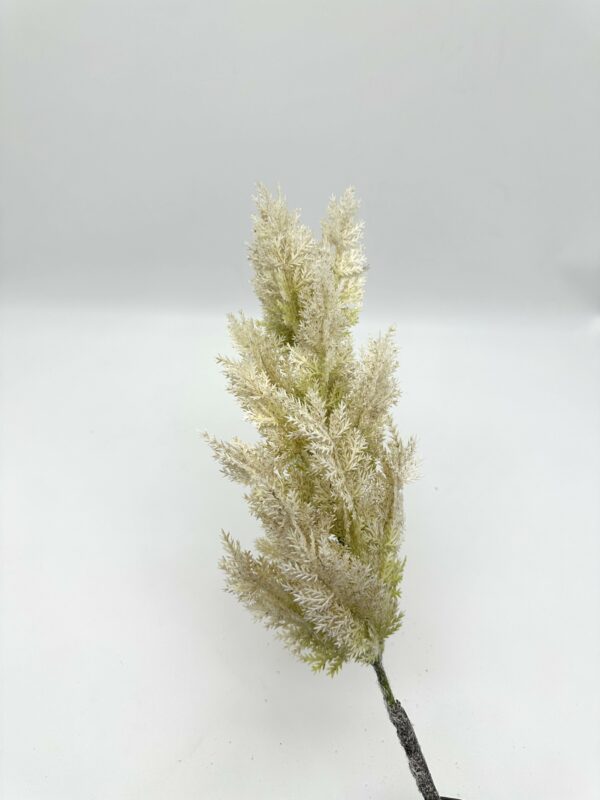 product image 913bcf5596235fd26143aa87ac335fa6 scaled