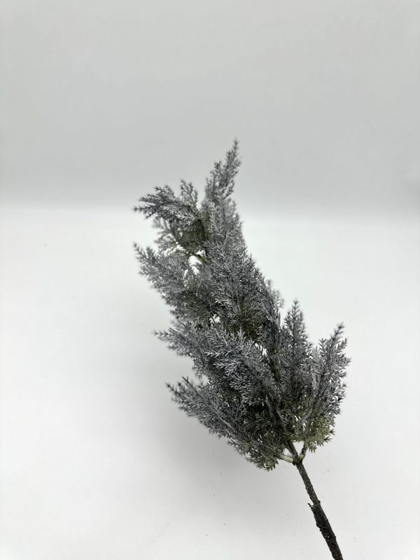 product image c385a81cf31fd96188d6ea9b039f9142 scaled