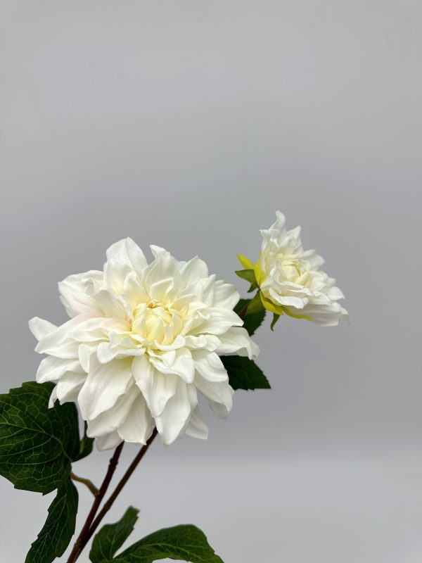 product image c678602aa49a1c7b35a622d328520932 scaled