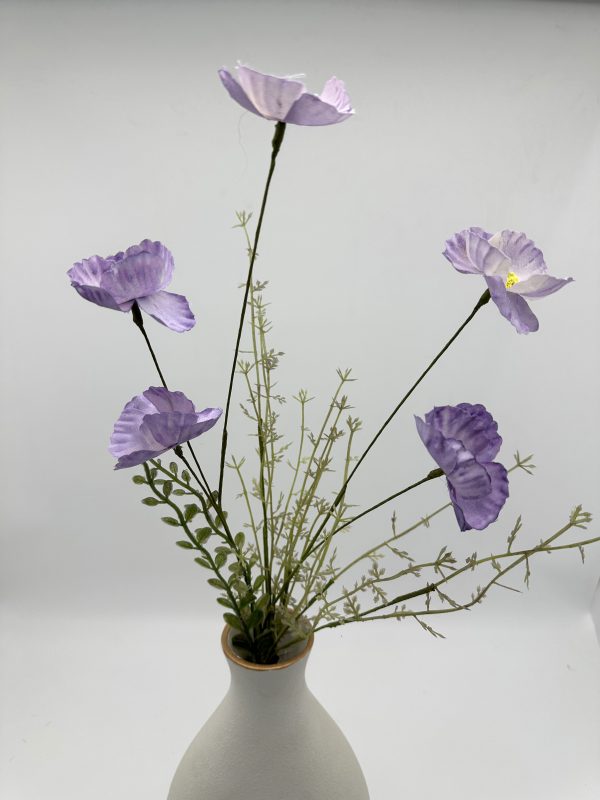 product image d7cfd43922d5cb16abbcd7aa36c2d708 scaled