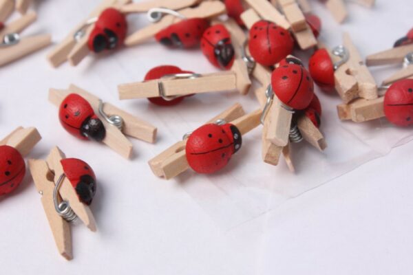 product image 20bf9d3b3b7b665e6b3f8c204de6620c
