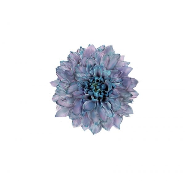 product image 31e9e839b98ca408f1a84e4074a56f2e