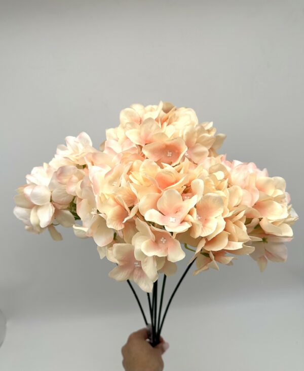 product image ee88a75d7d92efd6fb4668626b33cb17 scaled