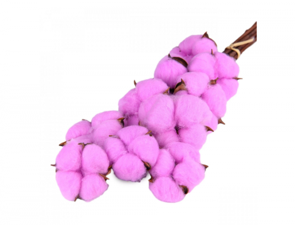 product image 1895c30b14be63b0a858b88337ce1838