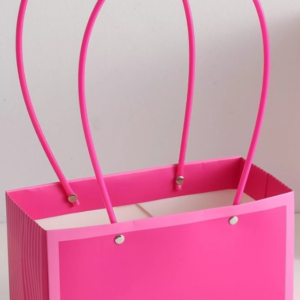 Пакет подарочный "Мастхэв стайл" прямоугольный, 22х10х13 см, 10 шт./упак., малиновый/розовый