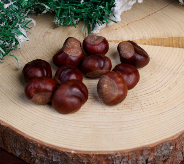 product image 55aafd0d7b74f17bf786498051b0613f