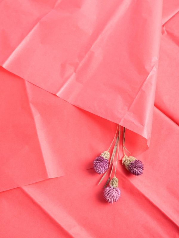 product image 5d08fcb57efc1c9bb75c56eafaf86f55