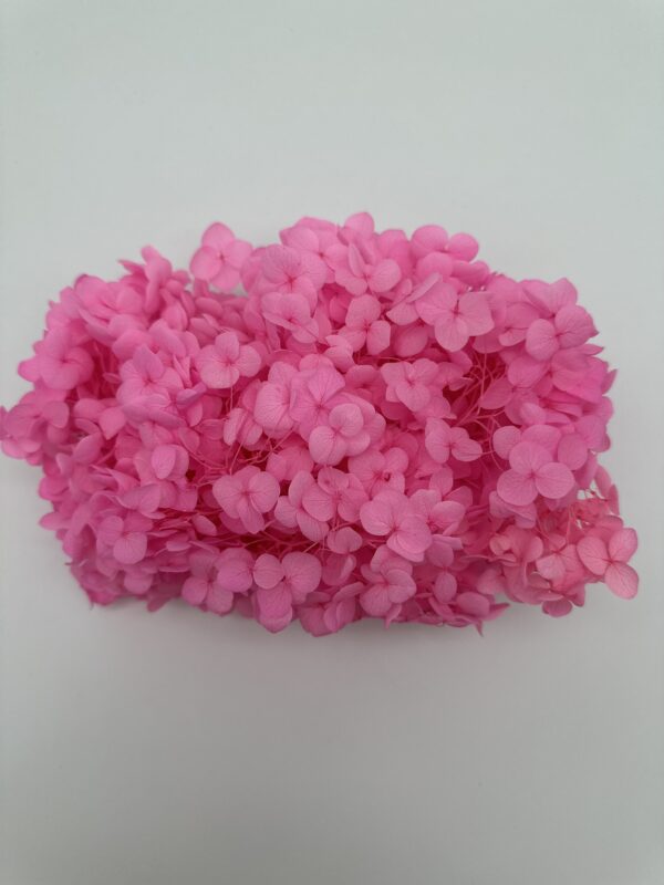 product image 69c904b82e2e687a158d7f940f205454 scaled