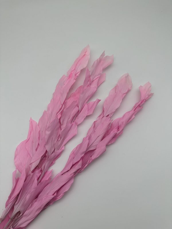 product image 7722b28f863fbb338e8290d396cefbe6