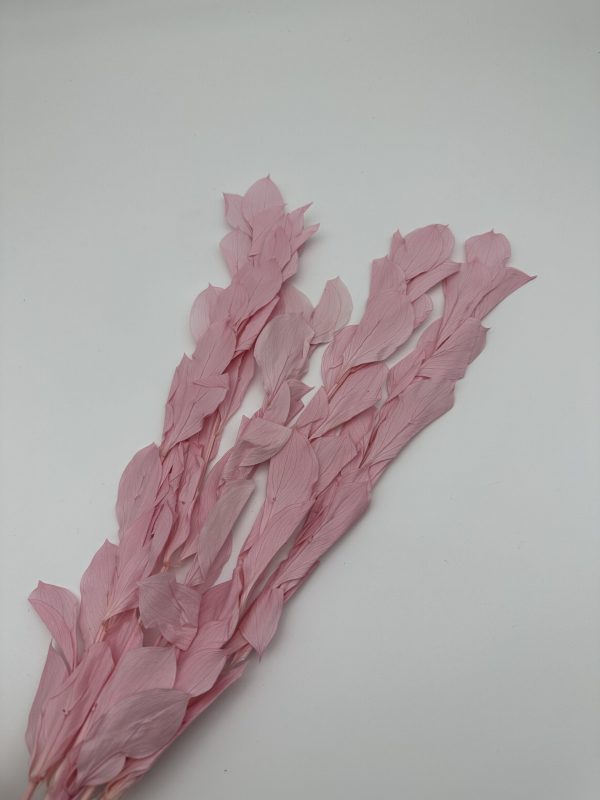 product image acf7fd56422f7bce6f707cb0bb9b87fc