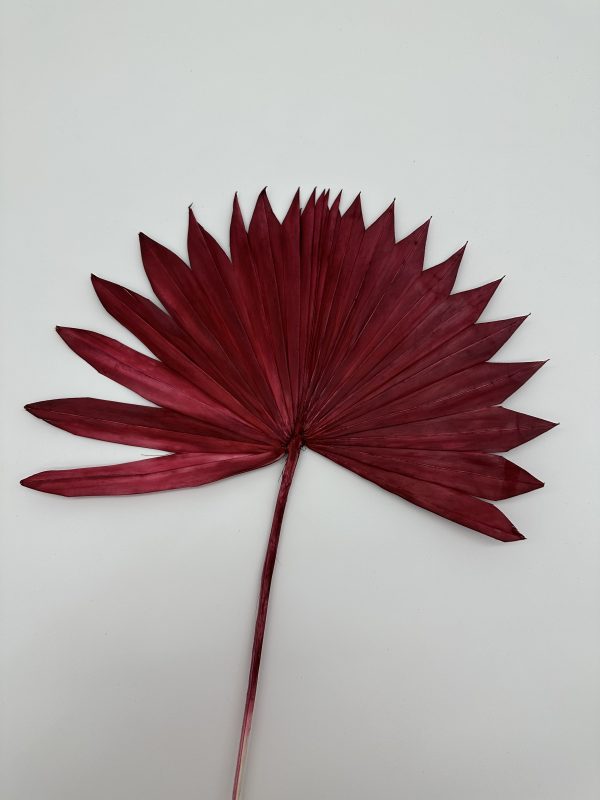 product image ccade9f7fdeaaee26c6277b9b270e7c8 scaled
