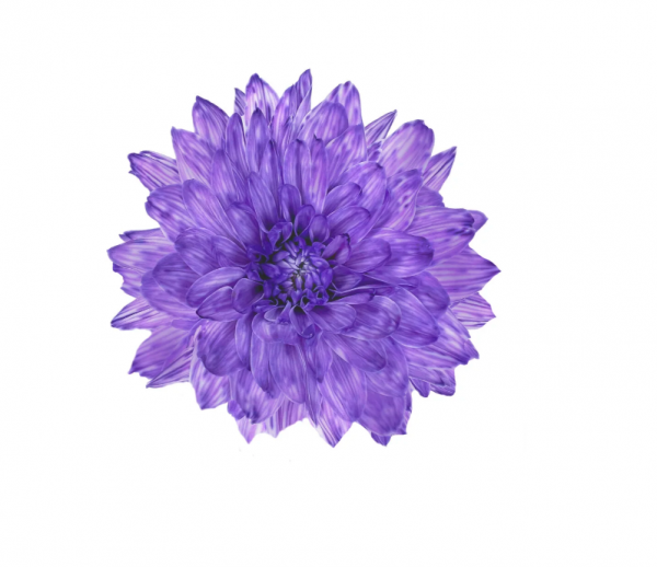 product image e6a652ce35144da5b4ab4b8ed861702e