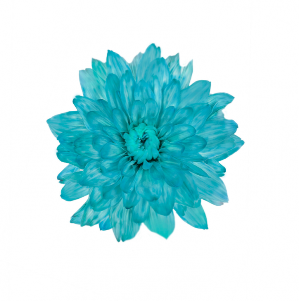product image ee055161c7ca00897277ae80242f474e
