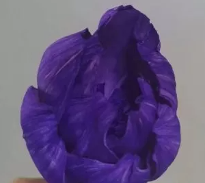 "Пионы" ручной работы, длина 40-50 см, размер цветка: 6-7 см, 1 шт/упак., фиолетовый