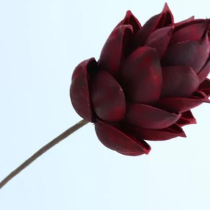 "Бутон дерева Феникс" ручной работы, длина 60 см, размер цветка: 9*5 см, 1 шт/упак., темно-красный