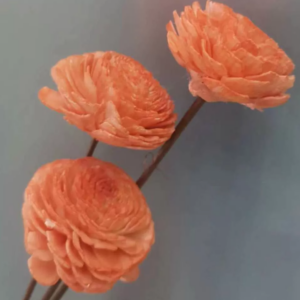 "Деревянный цветок мини Сола" ручной работы, длина 40-50 см, раз.цветка: 4 см, 3 шт/упак., персик