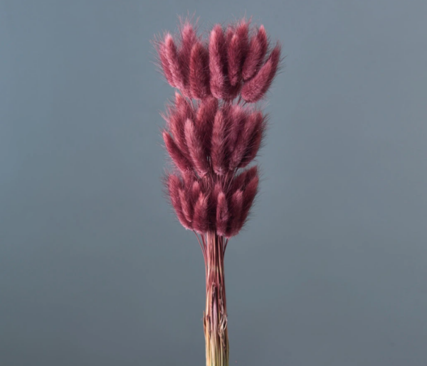 product image 0cc62277c98066cf14590929bcf1184f