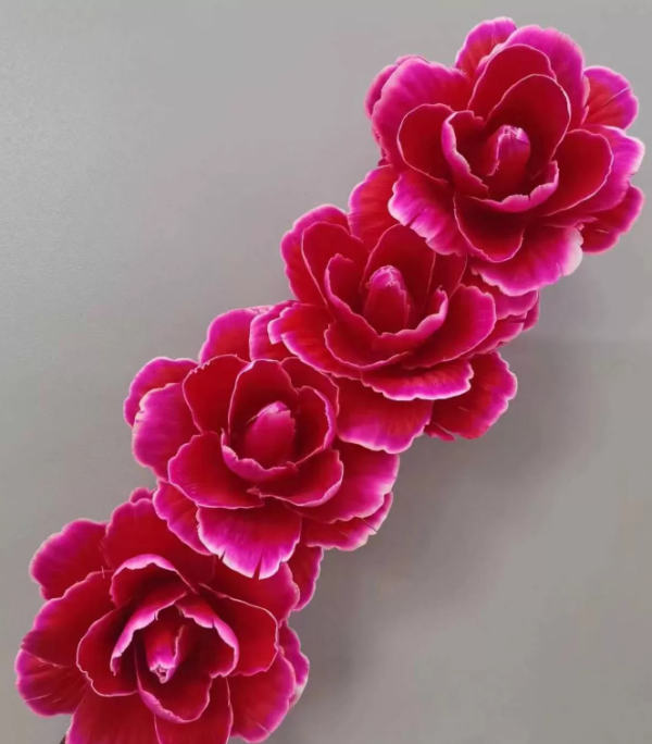 product image 3347c03529d57478c865678eaf3ac43c