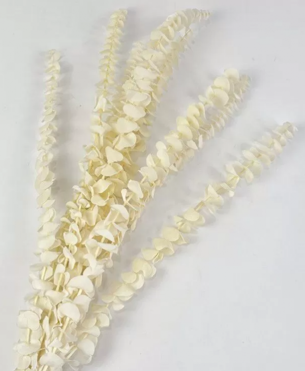 product image 44af2621a2583fd51885648bccb2b55d