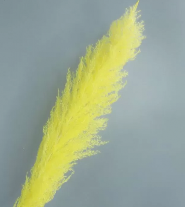 product image 4aa1eba8957f15acc67a1371e7ee0313