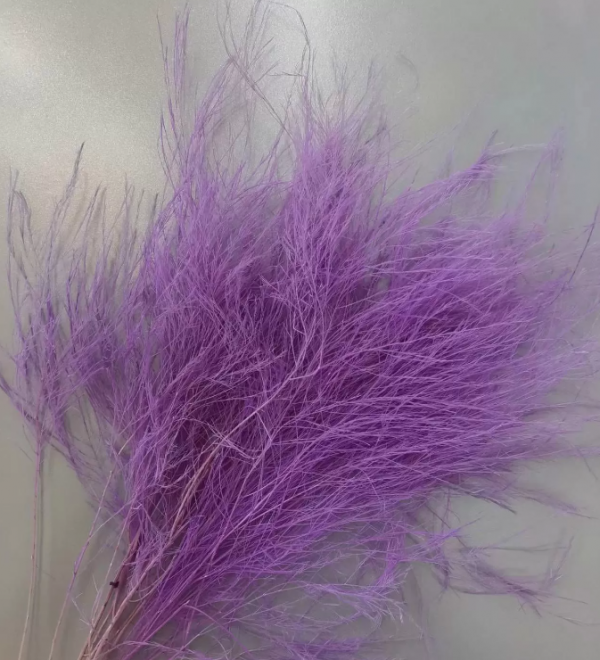 product image 51d27ce830d7b5a543cd7bf568248e37