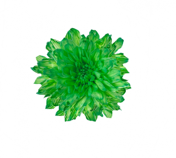 product image 7d3840214e7c4fb3a47a36a1942b2789