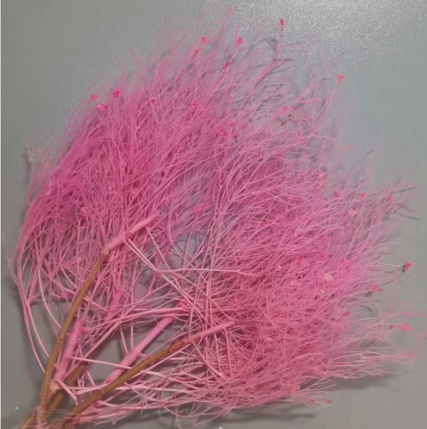 product image 8c5920876308f1be9dc79235bb3ed815