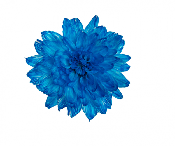 product image 9330672c94abf1ae94168c0daefb2f1f