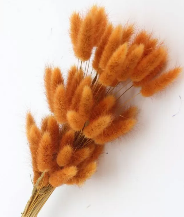 product image c54b0d559814df97bf5f856984d922e9