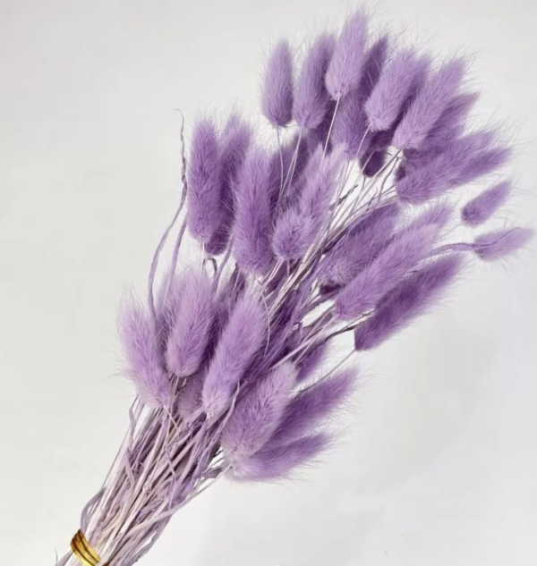 product image d25a78dd0a276d5b2cd419227fdf242a