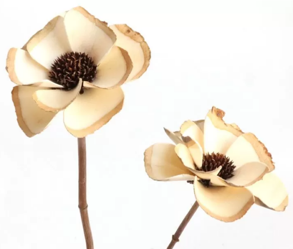 product image d456d855b894a8523127c9878dfd744c
