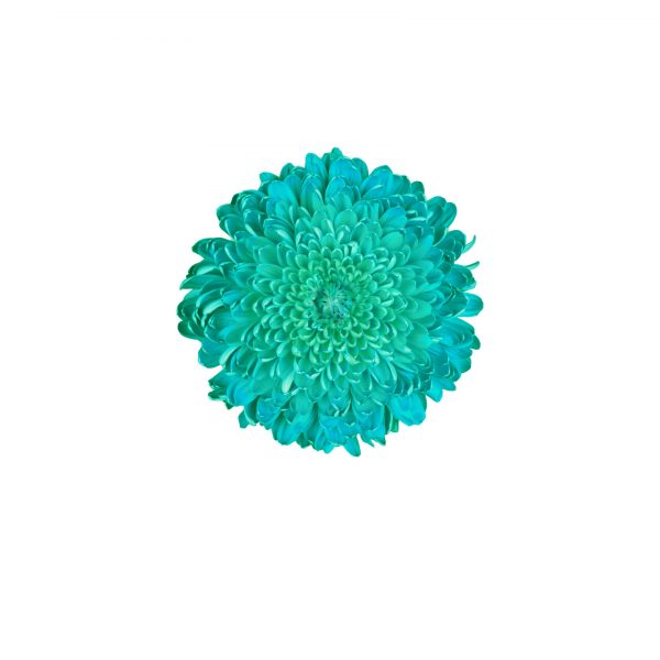 product image d4a2966da707b9cf4ac81be190ccde5c