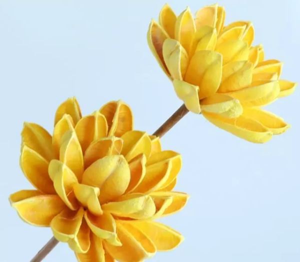 product image e46436ef163c9605226da39310781815