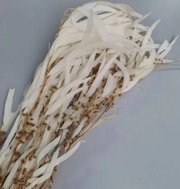 product image e793303936d0e3e389f0aee5f25cd8b2